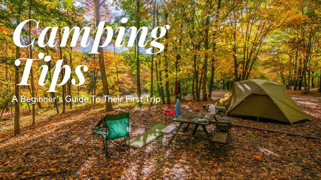 Picture of: Camping Tips: A Beginners Guide to their First Trip