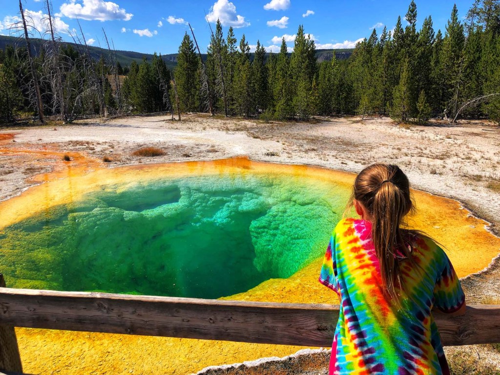 Picture of: PLANNING A TRIP TO YELLOWSTONE:  THINGS TO KNOW